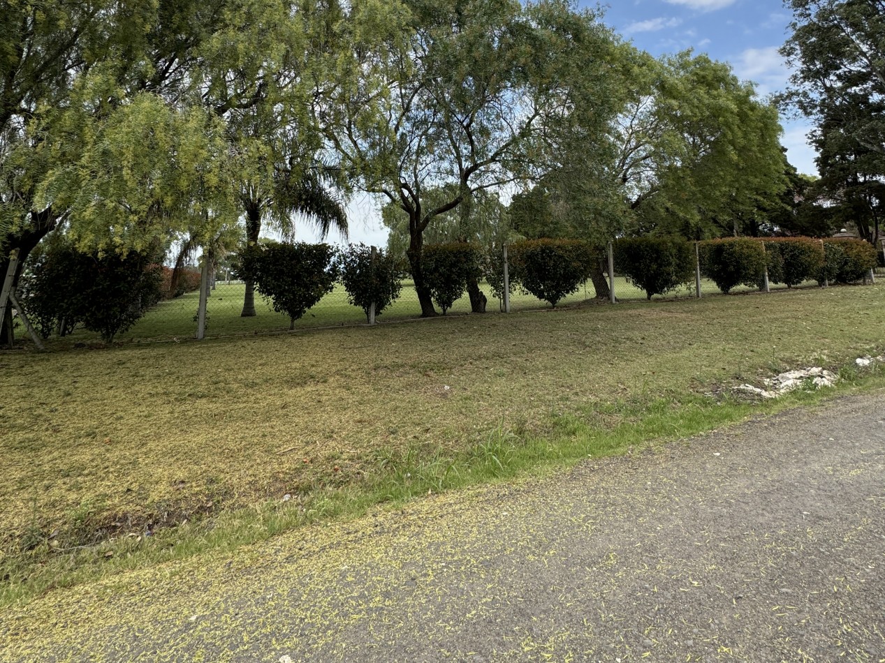 SE VENDE LOTE A METROS DE RENE FAVALORO EN SAUCE MONTRULL