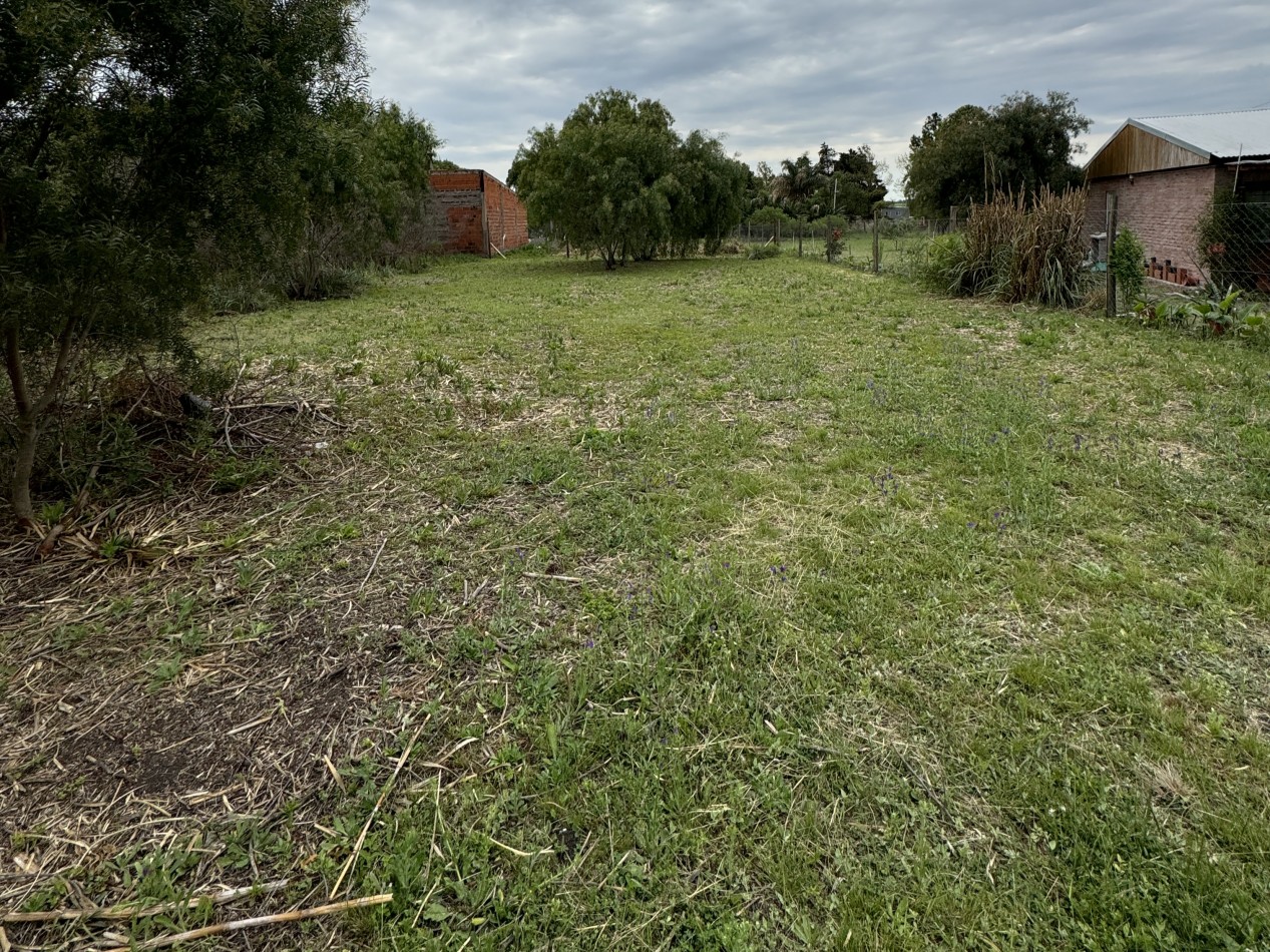 SE VENDE LOTE A METROS DE RENE FAVALORO EN SAUCE MONTRULL